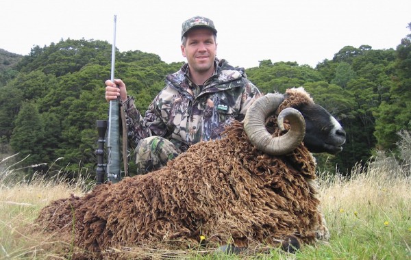 Arapawa Rams 2011