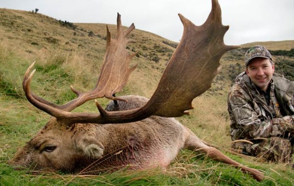 Fallow 2011