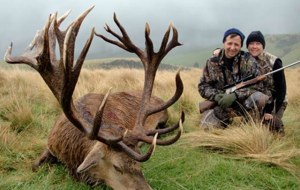 Red Stag 2011