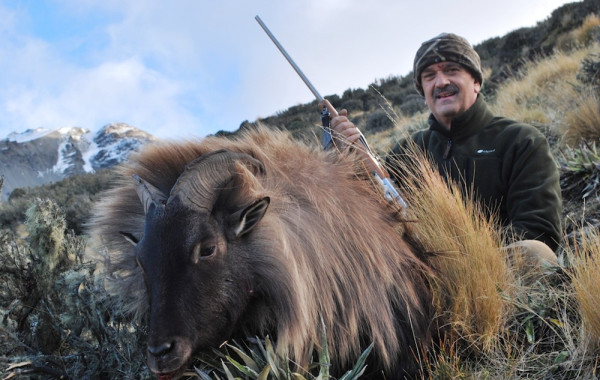 Tahr 2011