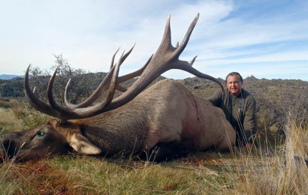 Wapiti 2011