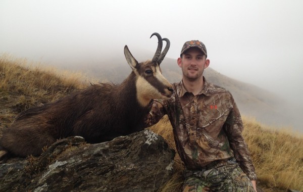 Chamois 2015