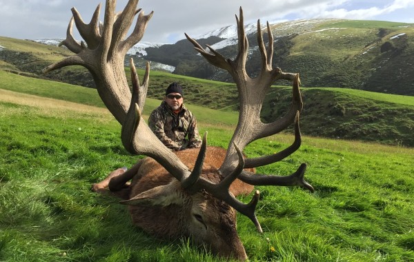 Red Stag 2015