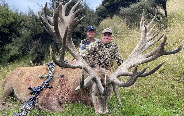 Red Stag 2020