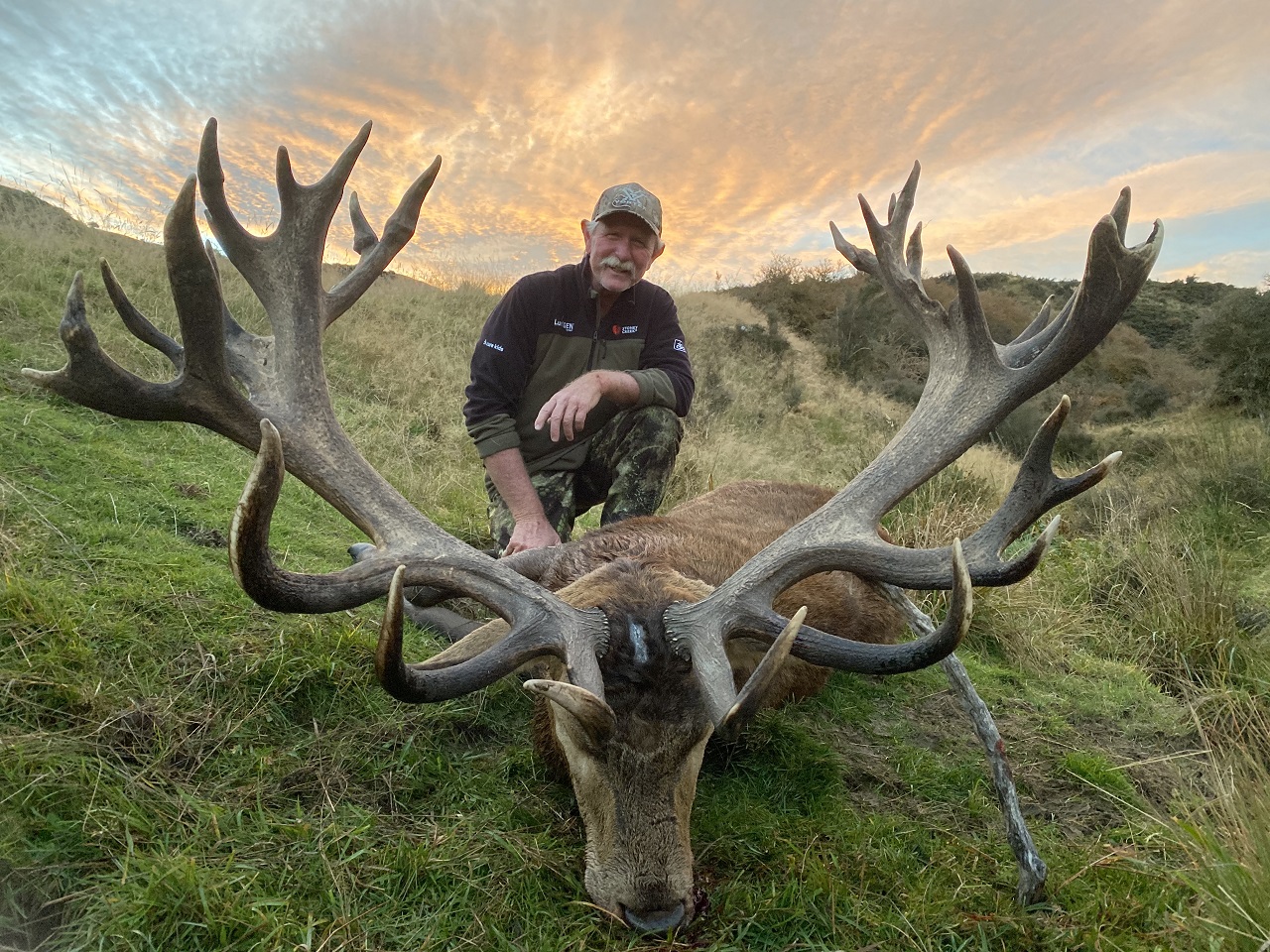 Red Stag 2021