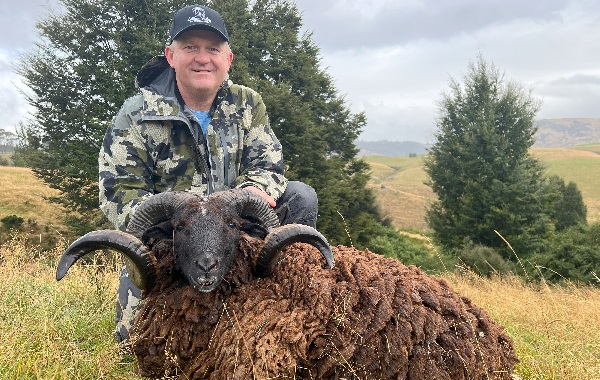 Arapawa Rams 2023