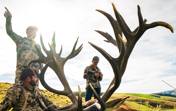 Red Stag 2024