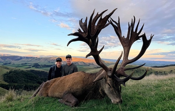Red Stag 2026