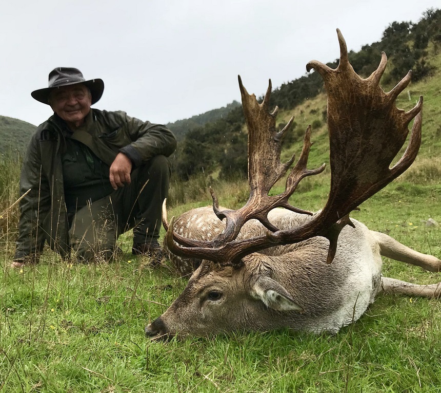 Hunting Fallow Buck in New Zealand
