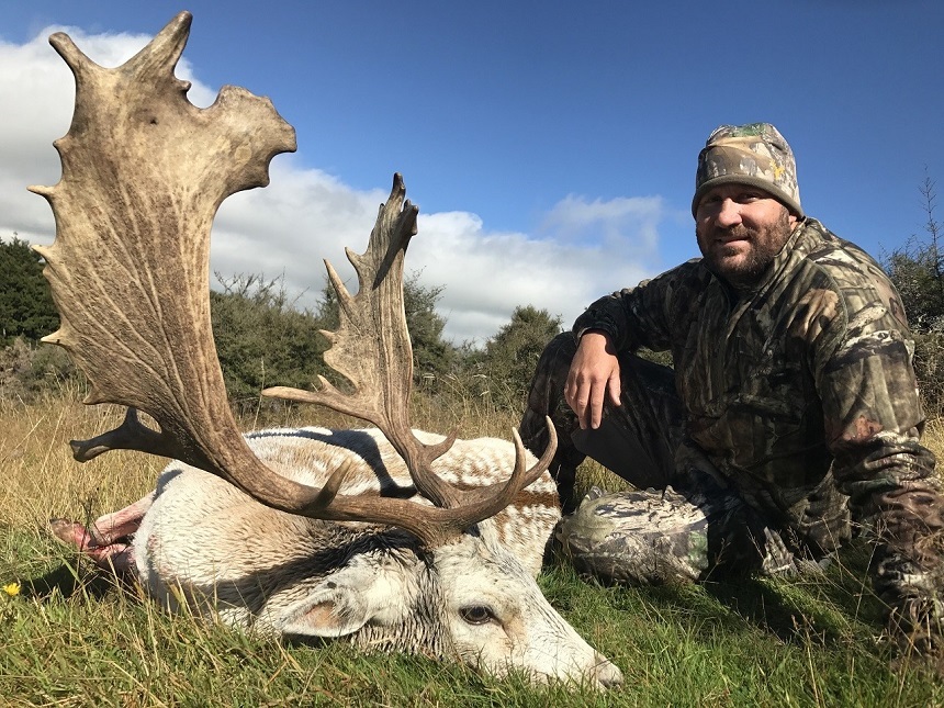 Fallow Buck Hunting in New Zealand