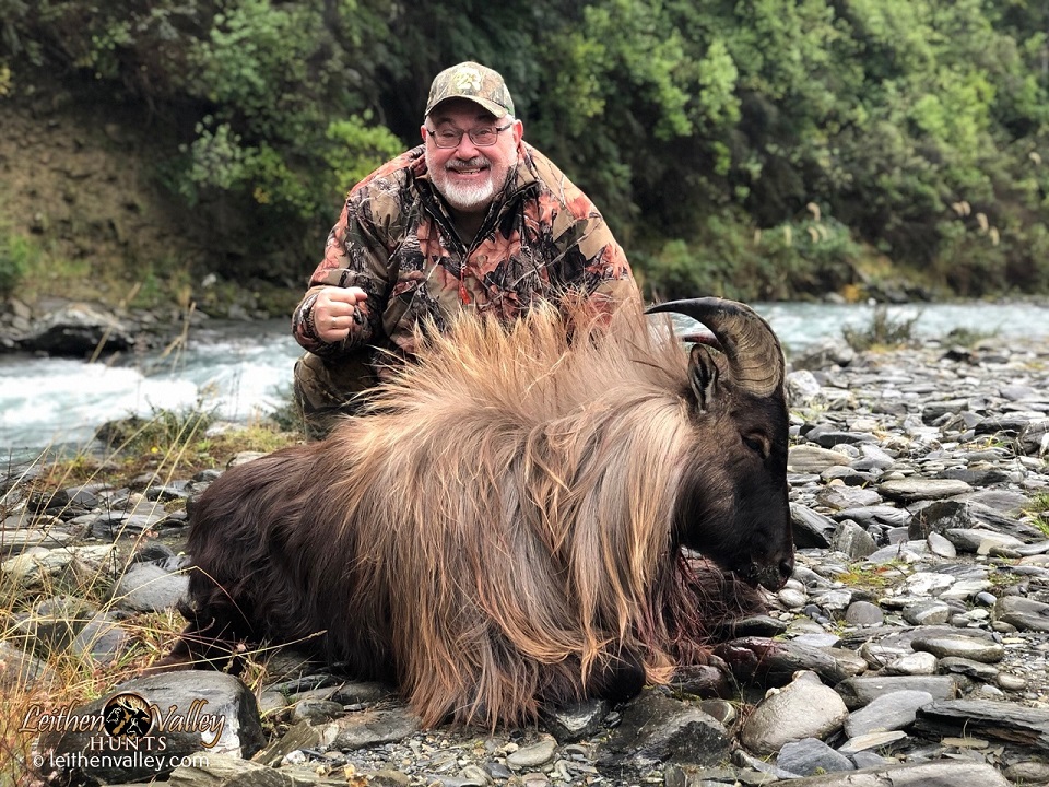 Hunting Tahr in New Zealand